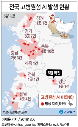 AI '낙동강 방어선' 뚫리나…우포늪 야생조류서 검출(종합) - 2