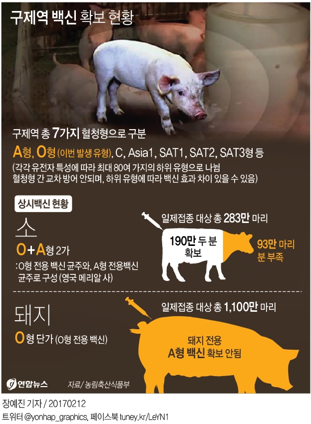한국 가축전염병 '쇼크'…방역시스템 사실상 '붕괴' - 2
