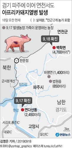 아프리카돼지열병 확산…경기 파주 이어 연천서도 잇달아 발생(종합) - 3
