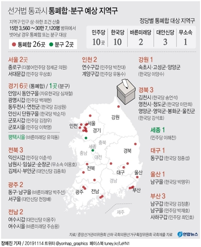획정위, '225:75' 선거법 통과시 통폐합 지역구 26곳 추산 - 2