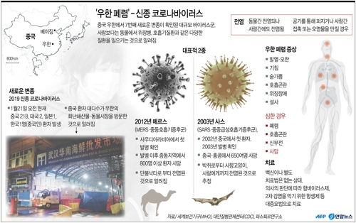 중국 보건당국 전문가 "우한폐렴 사람간 전염 확증적"(종합) - 2