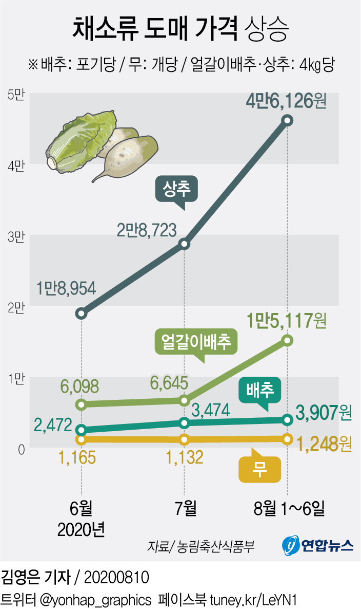긴 장마로 무·배추 가격 '들썩'…정부, 수급안정 대책 추진 - 2