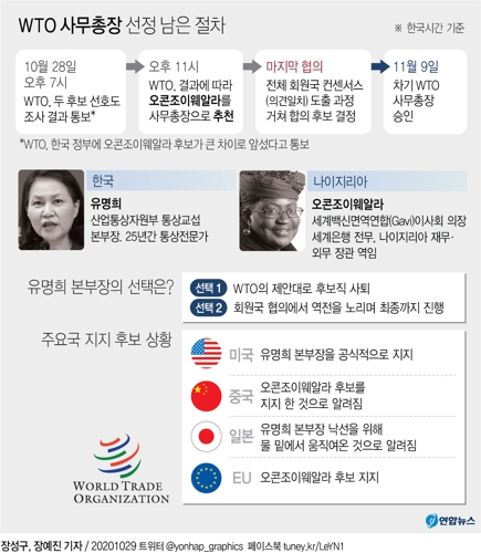 미국 지원에도 고민되는 WTO선거…정부 "향후 절차 검토 중"(종합) - 2