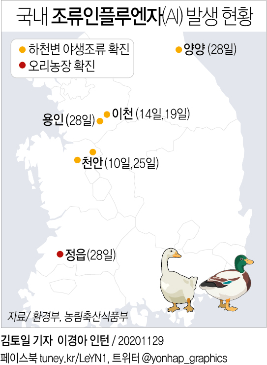 전국이 고병원성 AI '위험권'…방역조치 최고 수준 강화(종합) - 2