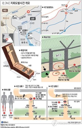 "GOP와 GP는 뭐가 다르죠?" 지뢰폭발사고 용어풀이 - 2