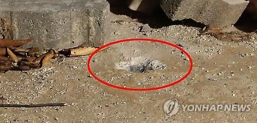 유엔 "남북 포격사태 심각한 우려속 예의주시" - 2