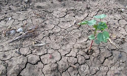 "'슈퍼 엘니뇨'로 1천만명 기아 직면" - 2