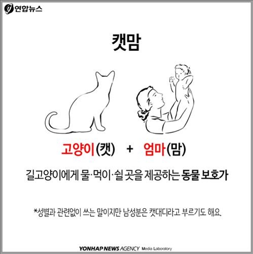 <카드뉴스> "민폐 동물에 왜 먹이 주나요"…캣맘 두고 갑론을박 - 3