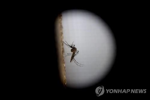 <지카 비상> 지카 바이러스 진원지 중남미 확산 저지에 '올인' - 2