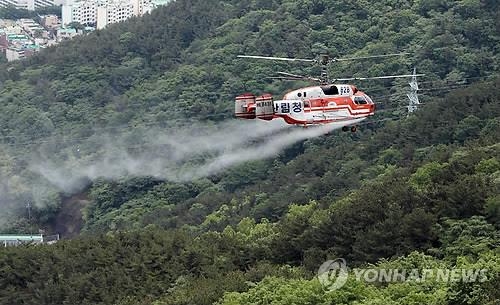 소나무 재선충 청주까지 '북상'…산림당국 '비상'(종합) - 2