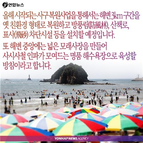 <카드뉴스> '꽃지의 경고', 그 많던 모래는 누가 가져갔을까 - 8
