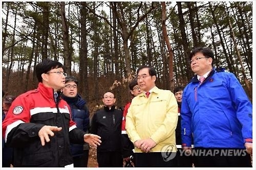 "재선충병 방제도 '선택과 집중' 할 때...수종갱신도 함께 해야" - 2