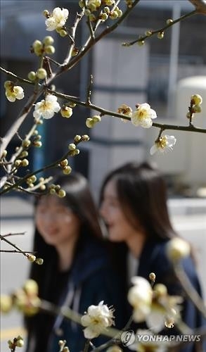 전북 매서운 '꽃샘추위'…최대 5㎝ 눈 - 2