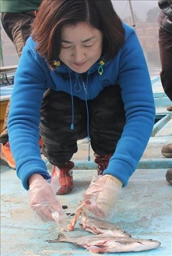 낙동강 하류서도 '조폭 물고기' 강준치 폐사 - 2