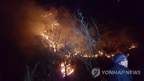 단양 소백산 화재 13시간만에 불길 잡아…잔불 정리 작업(종합) - 3
