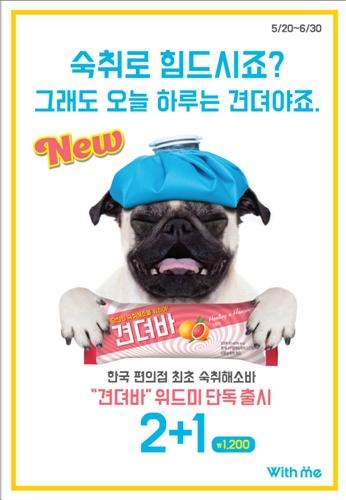 숙취해소 아이스크림 나왔다…위드미 '견뎌바' - 2