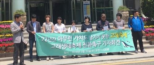 울산 환경단체 "고래축제, 생태성 갖춰야" - 2