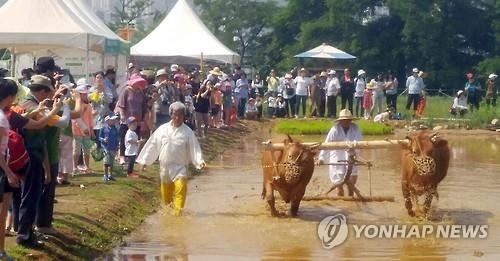모처럼 옅어진 미세먼지…축제장·관광지 나들이 인파 넘쳤다(종합2보) - 3