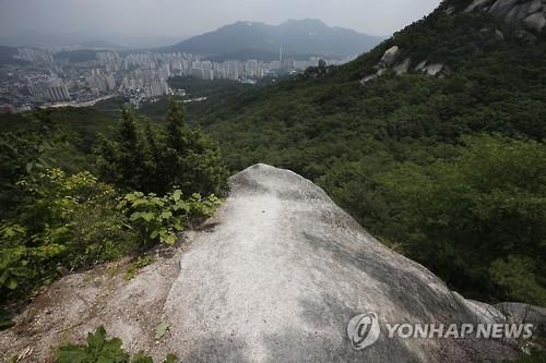 의정부 사패산서 숨진 50대 女등산객, 목 졸려 피살(2보) - 2