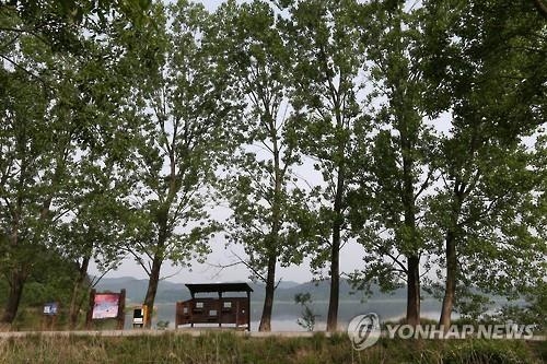 창녕 우포늪, 자연과 사람이 하나 되는 물아일체 체험 - 5
