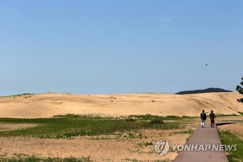 신두리 해안사구, 바람과 모래가 빚어낸 예술 작품 - 3