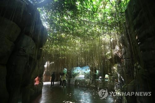 국립생태원 에코리움, 세계 5대 기후대 체험 가능 - 2