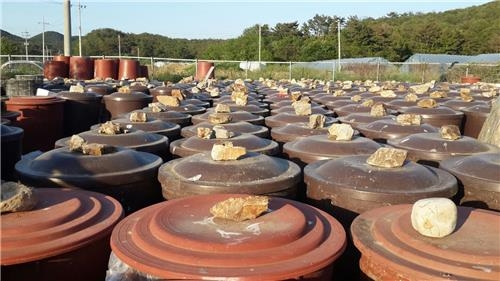 <가고 싶은 섬> '파도가 빚은 곳' 서해의 끝 백령도 - 14