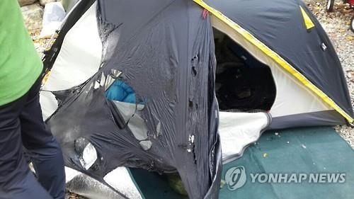 전국 캠핑장 4곳 중 1곳은 미등록 야영장 - 2