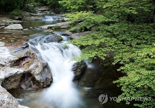 무주 구천동에 500억 들여 74실 규모 관광호텔 건립 - 2