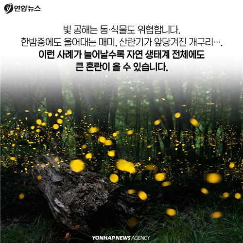 <카드뉴스> 밝아지는 빛, 늘어나는 병 - 11