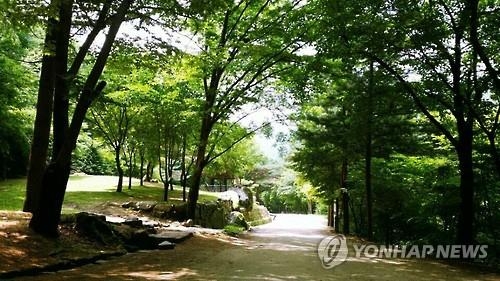 <주말 N 여행> 영남권: 달빛 속 문경새재 황톳길 걸어보자…체험식물원 개관 - 2