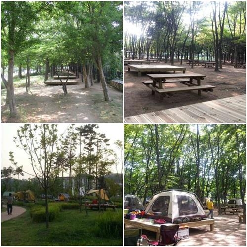 "올여름엔 서울 도심 공원에서 가족과 이색 캠핑을" - 2