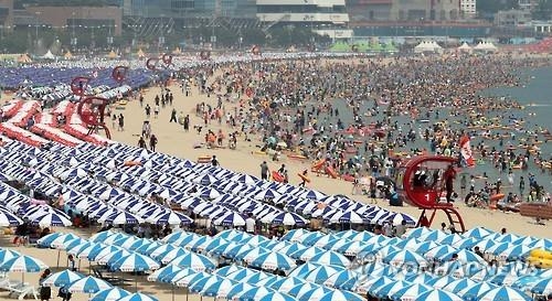 해수욕장 파라솔 이용료…무료에서 3만 원까지 '천차만별' - 4