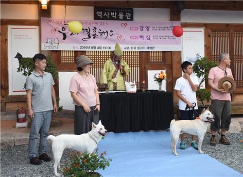 <카메라뉴스> 천연기념물 동경이 결혼합니다 - 2