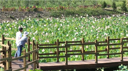 "들꽃향 가득한 인제로 오세요"…들꽃마을 조성 순조 - 2