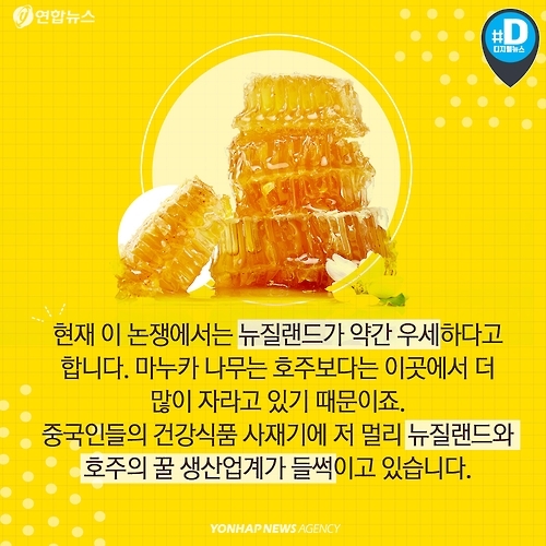 <카드뉴스> 마누카 허니, 뉴질랜드의 것이어야만 허니(honey)? - 12