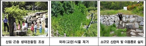 '산사태 아픔 딛고' 우면산 복구지 생물종 다양성 살린다 - 2