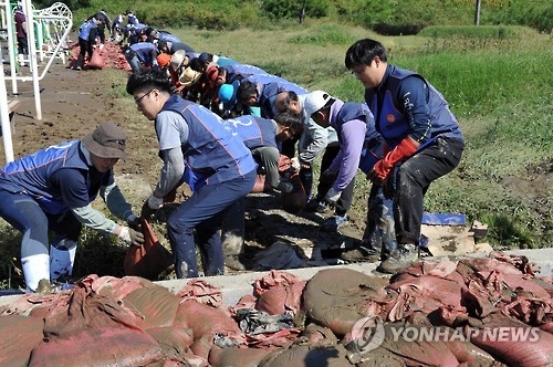 현대차 임직원 태풍 피해 복구