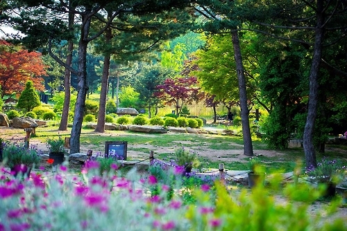 남양주 산들소리수목원의 가을 정취
