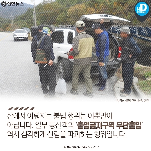 <카드뉴스> 불법 채취, 스릴 산행…가을 등산 문화의 현주소 - 5
