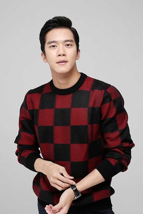 배우 하석진