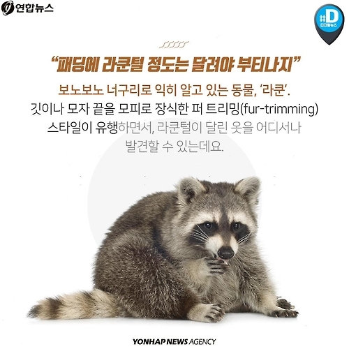 <카드뉴스> 우리가 따뜻해질수록 동물들은 웁니다 - 4