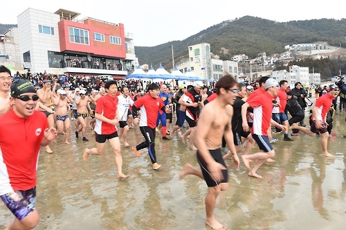 거제 국제 펭귄 수영축제