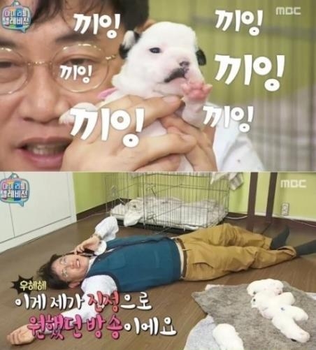 MBC TV '마이 리틀 텔레비전'