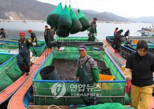 고흥산 물김