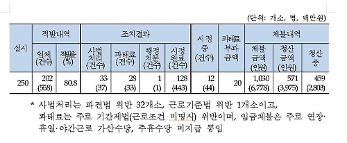 택배·물류업체 250곳 근로감독 결과