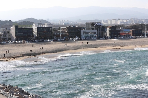 강릉항 요트마리나 건물에서 내려다본 안목해변 커피거리