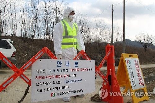 "벌써 다 퍼졌나" 나흘만에 또 구제역, 보은 민심 '흉흉'(종합) - 4