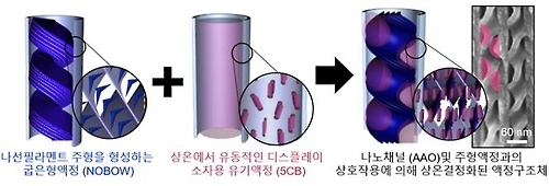 금속 수준 결정화 액정구조체 형성 원리 설명도