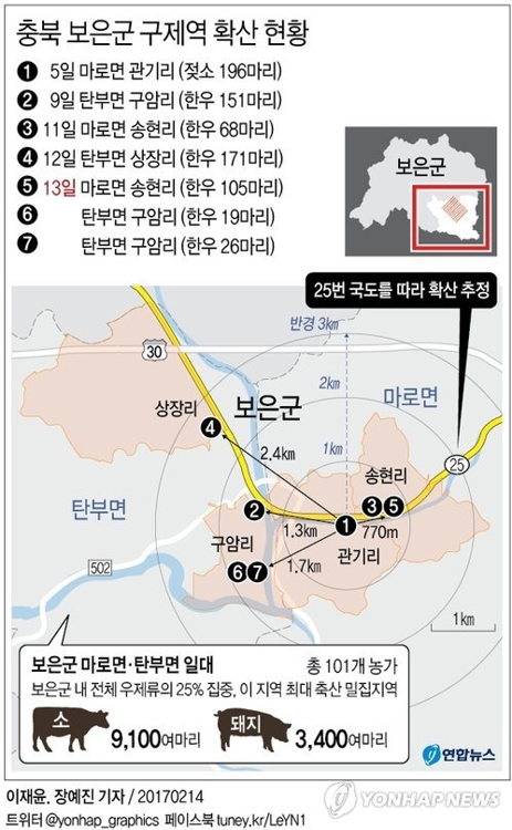 자고나면 터지는 충북 보은 구제역…'우후죽순' 전방위 확산 - 1